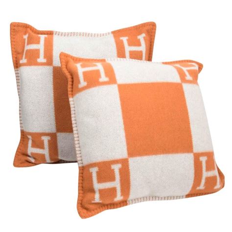 hermes cushion cover.